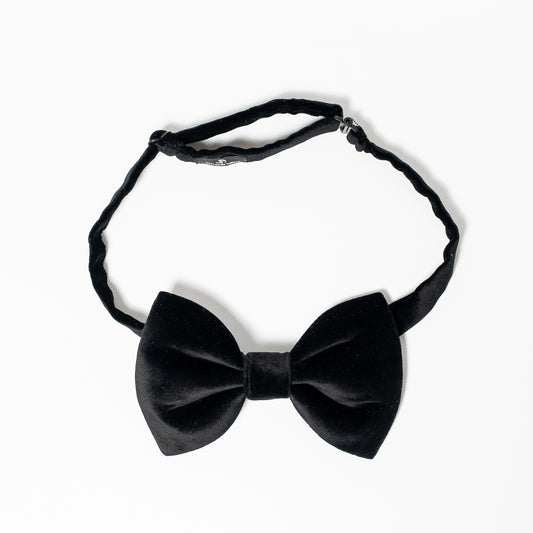 President Black Velvet